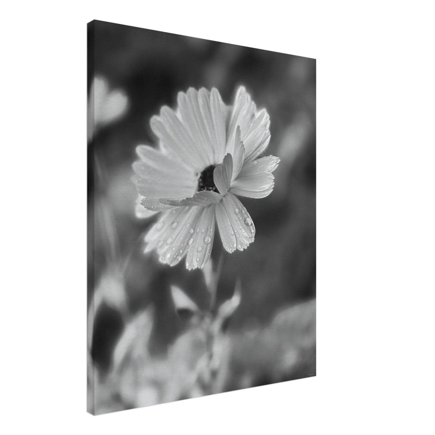 1d485f64-7afb-481c-b600-5f1a3e9c54c0