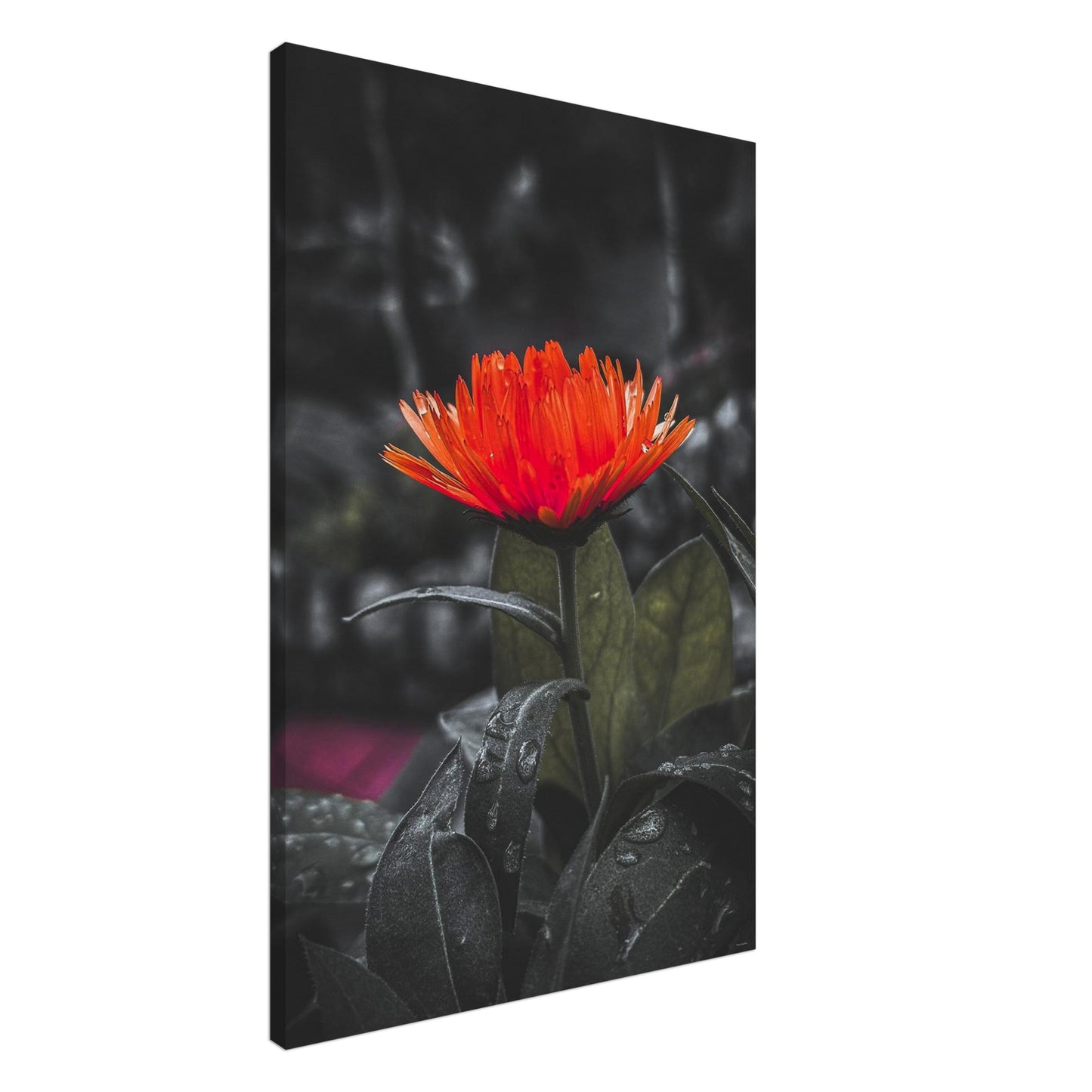 2da9f262-5b76-4f49-8c43-df9b4d57896b