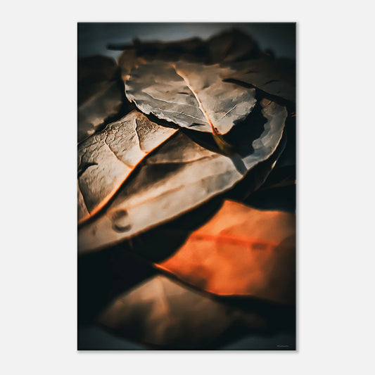 35d91105-3bb1-4ea7-bf2a-bd956240d500