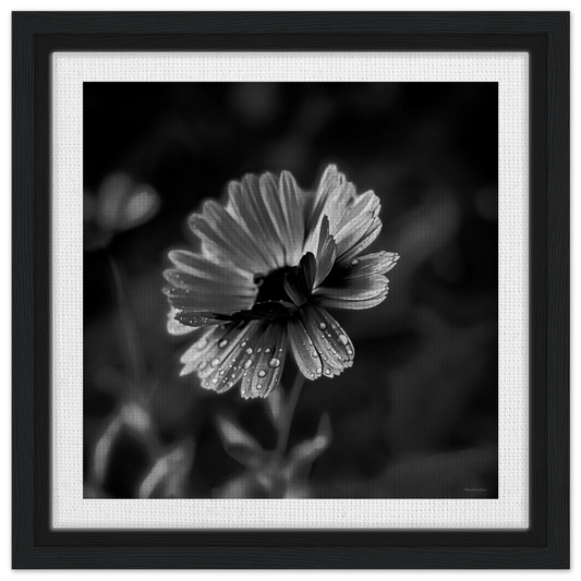 373c5671-46ec-44b2-9908-e749cf915853