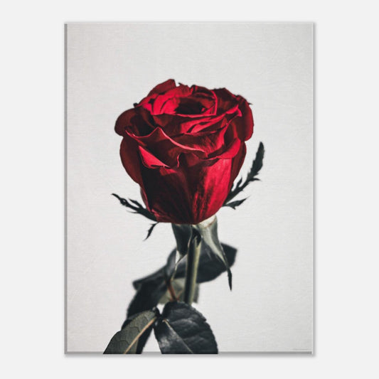 3bb7dd9f-a823-403e-a47d-d6cce397eb7a