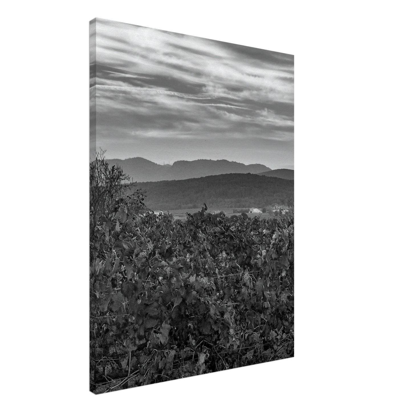 497de9f0-4581-4bfe-b63a-dead6af17e3e