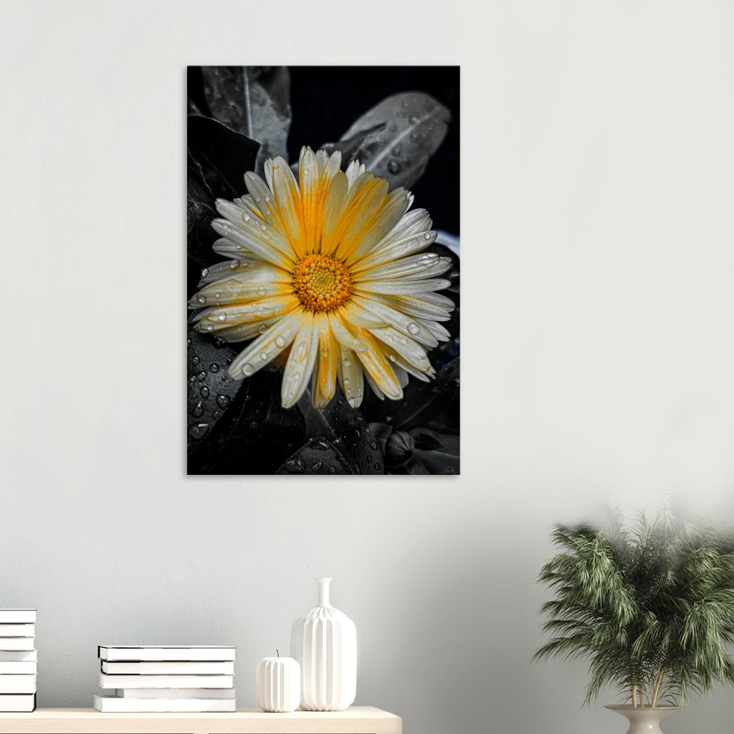 5108d3fc-a089-4189-9cc4-9277ed5b43b7