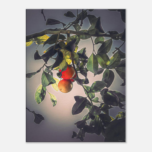 63ad563c-da36-4000-92b3-2292fb955553