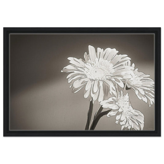 7594f375-3442-415b-bdad-0d95ef4f7cda