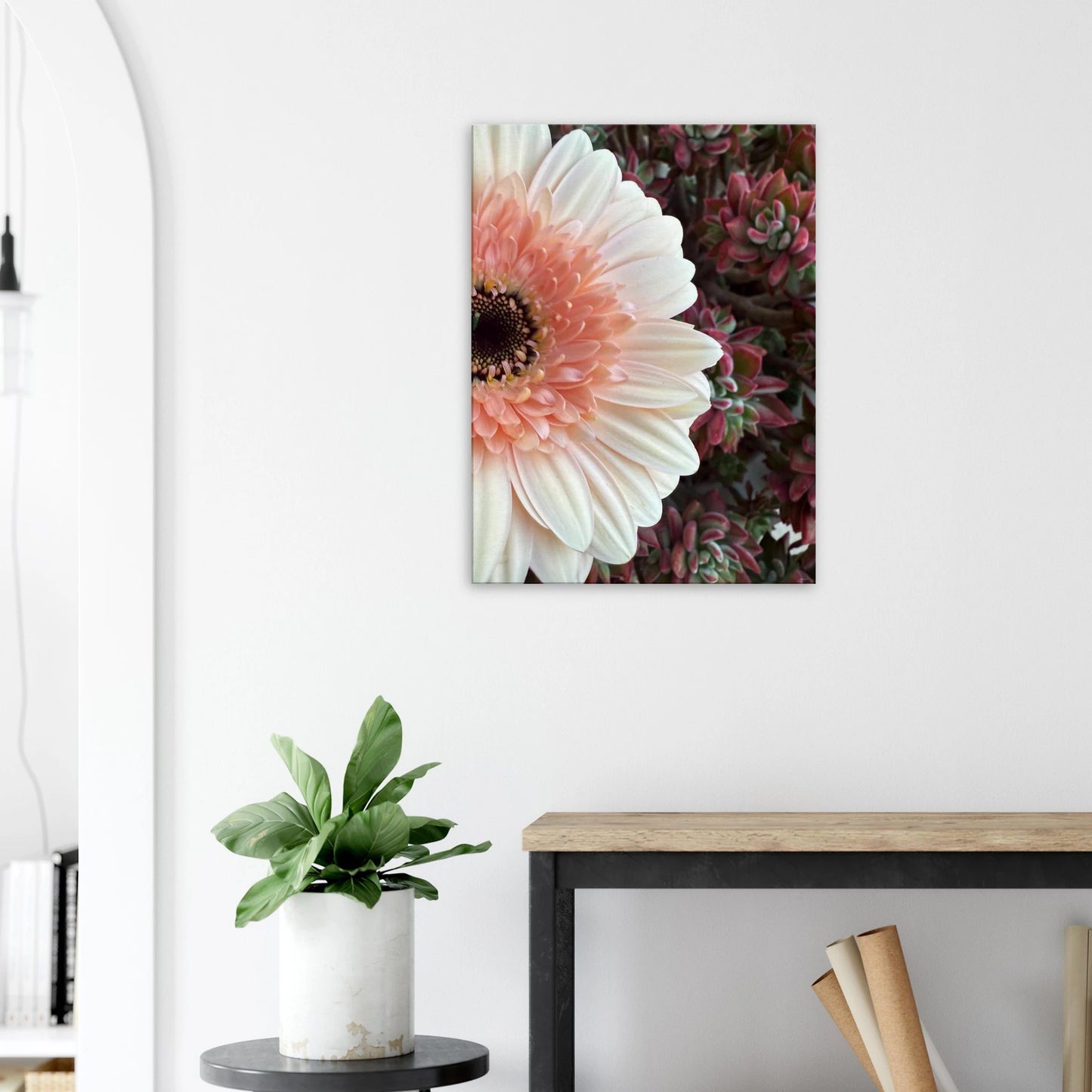 7985eda2-f6af-43dc-a407-6ed7b996c087