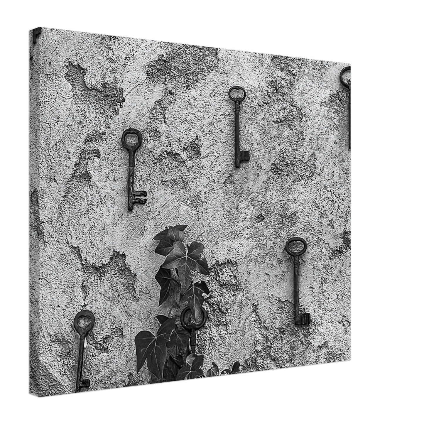 79c84f72-9e72-4a67-a5ad-c6a9645febd3