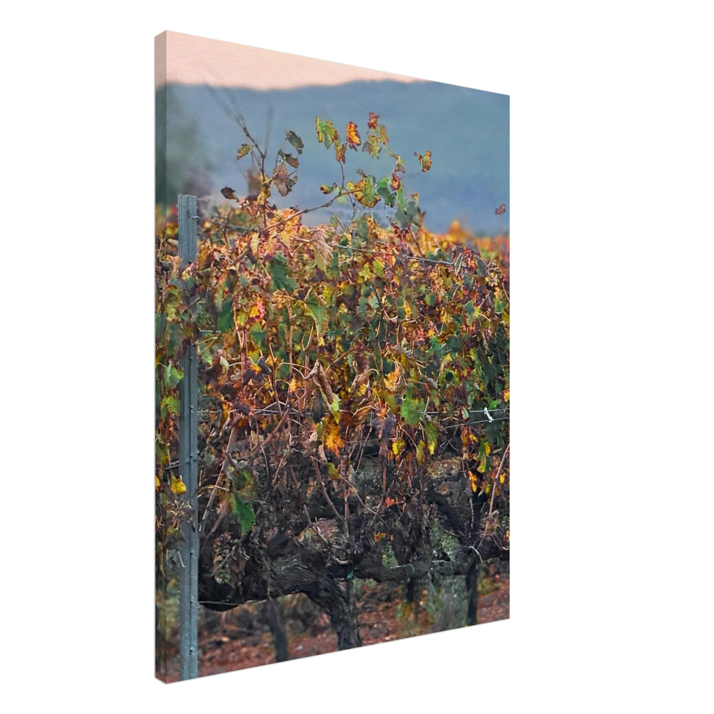 82992f5c-4790-4961-8a2a-b74fe628aa82