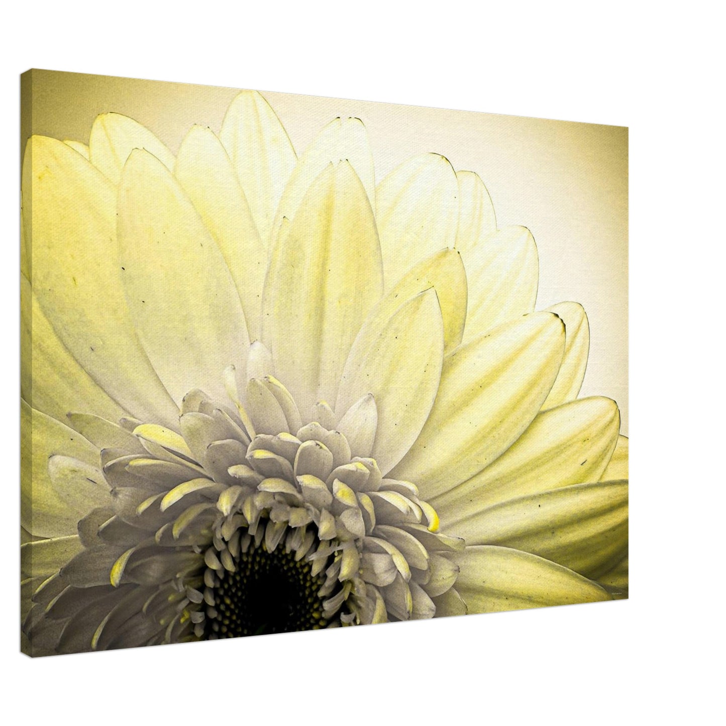 82c6d4f1-5000-4fd4-84f4-9c58d81ca113