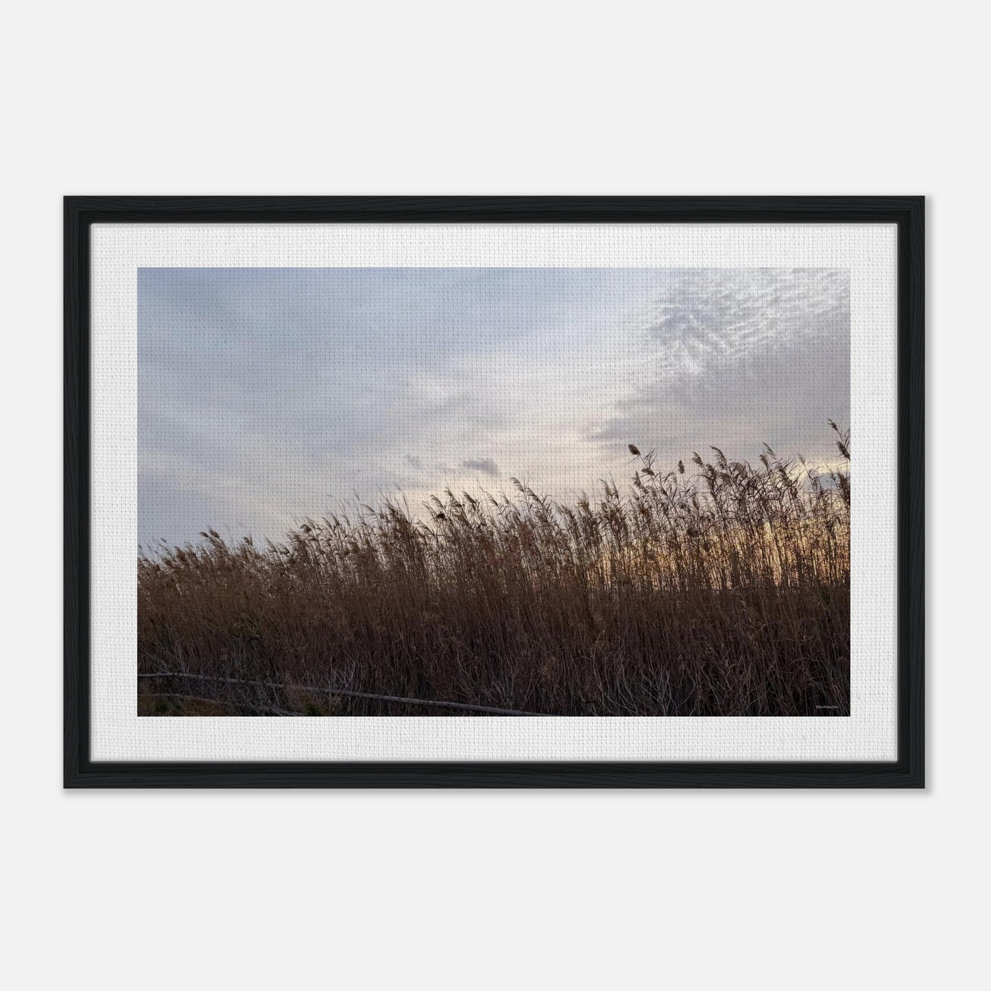 84ad1c06-6878-4631-99ac-43e1a74f5519