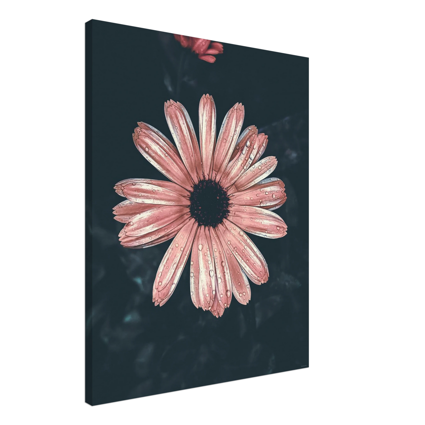 89cee9e0-f387-49f8-932b-9b6bbcbf747f