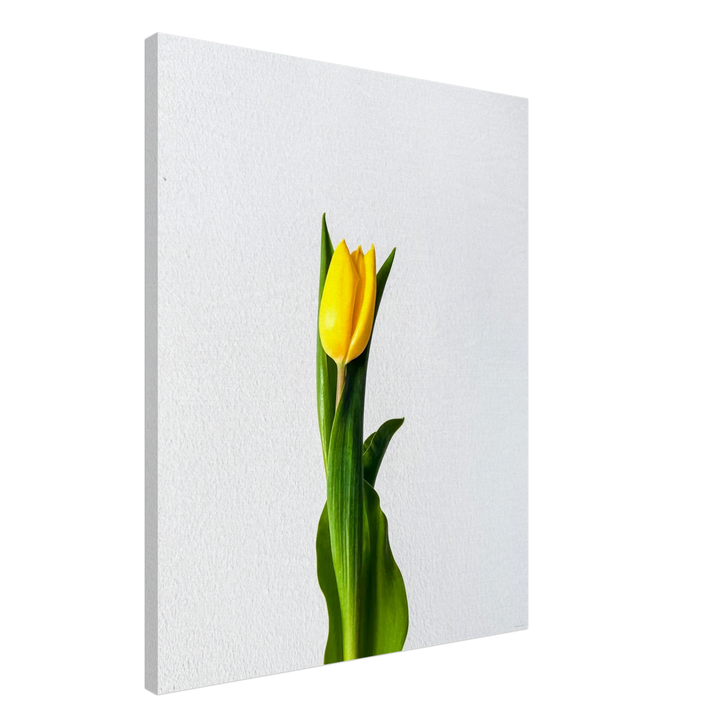 8fb62625-fca1-4728-92b8-4e5a58b3d408