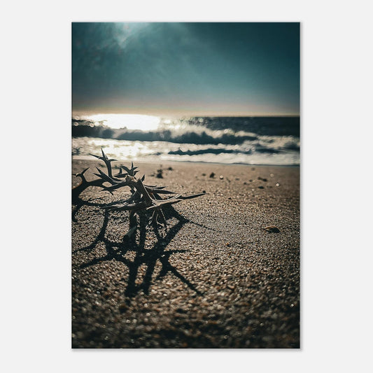 93f86e53-a677-4b23-9405-bdbfc5209f3f