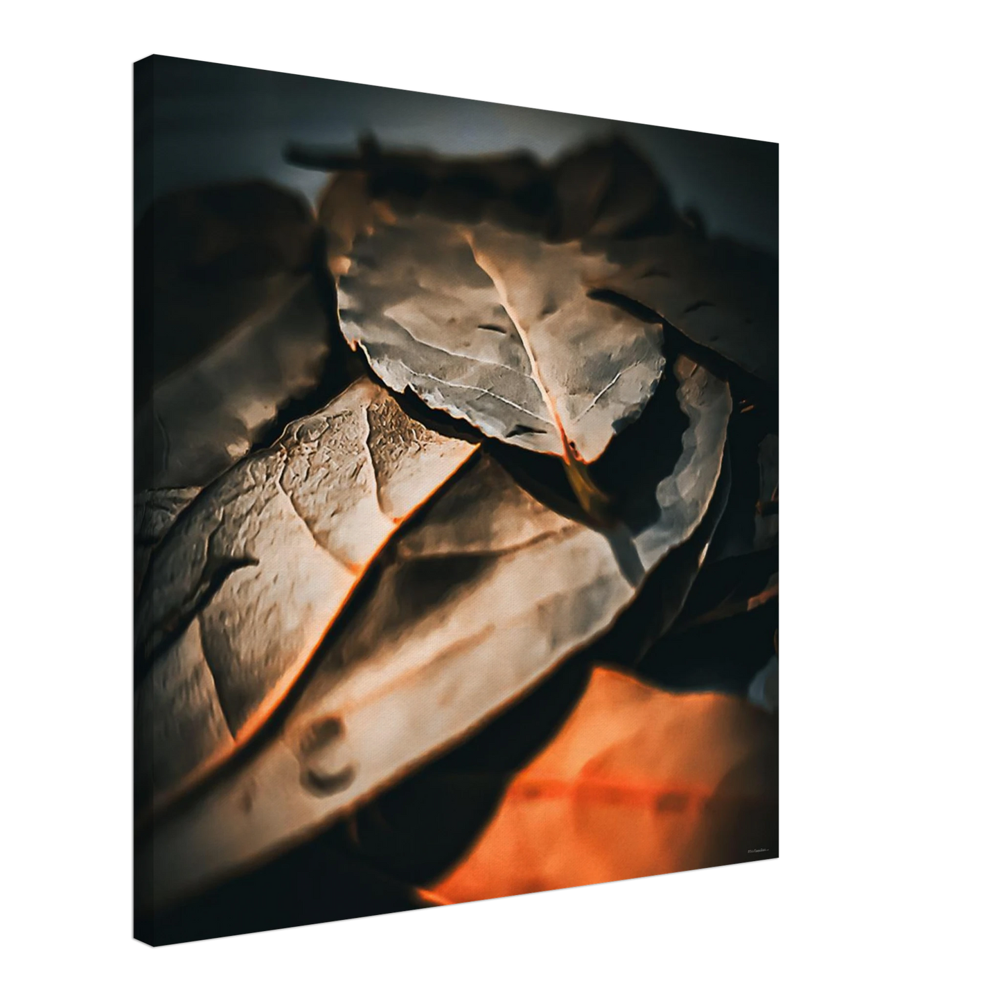 a5d085cd-c9e0-4915-b147-5f33ff7e7e79