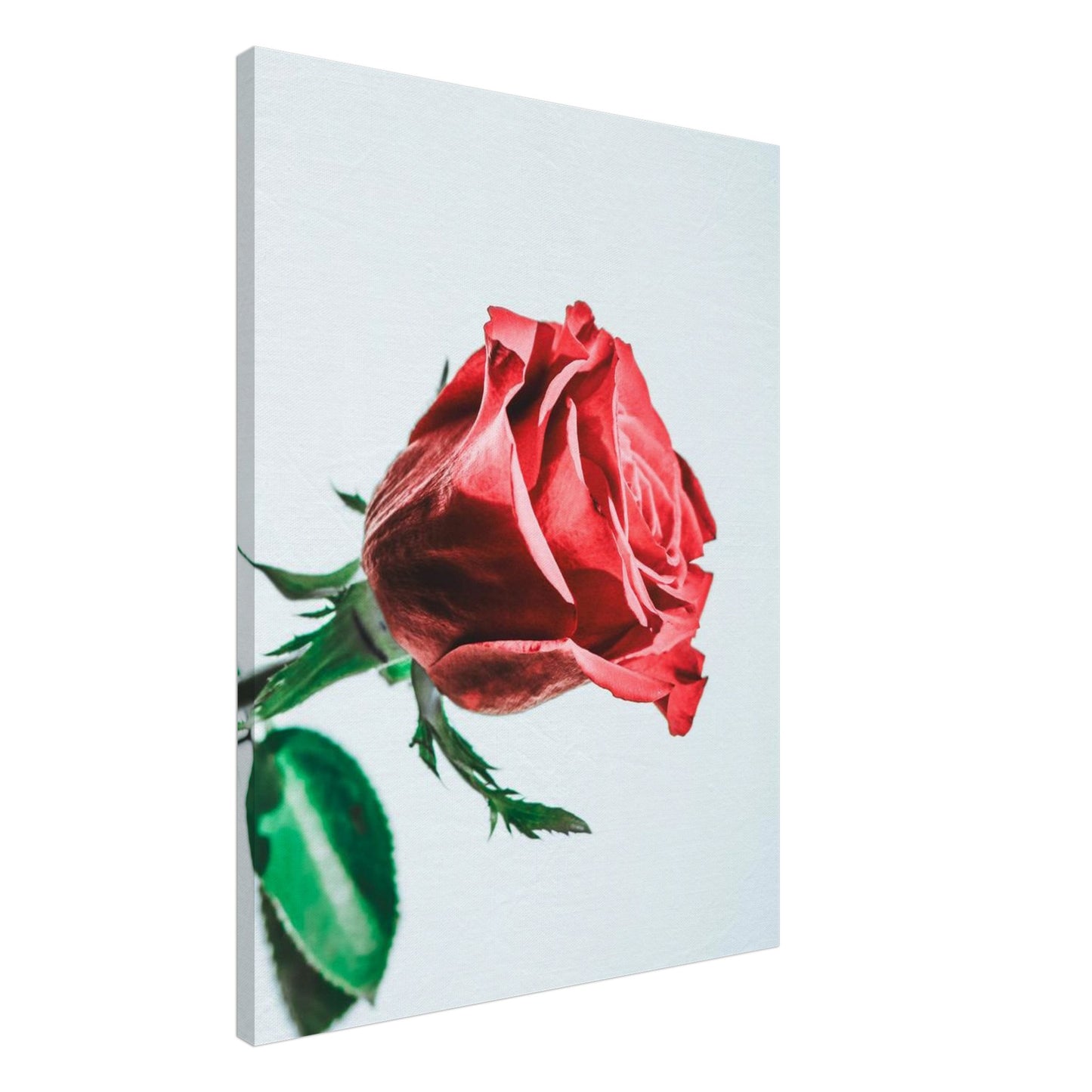 b3fed577-9de0-4c36-858b-72654900be0a