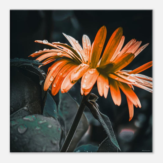 b5792d76-3c00-47ae-9cb5-b2e108afbac8