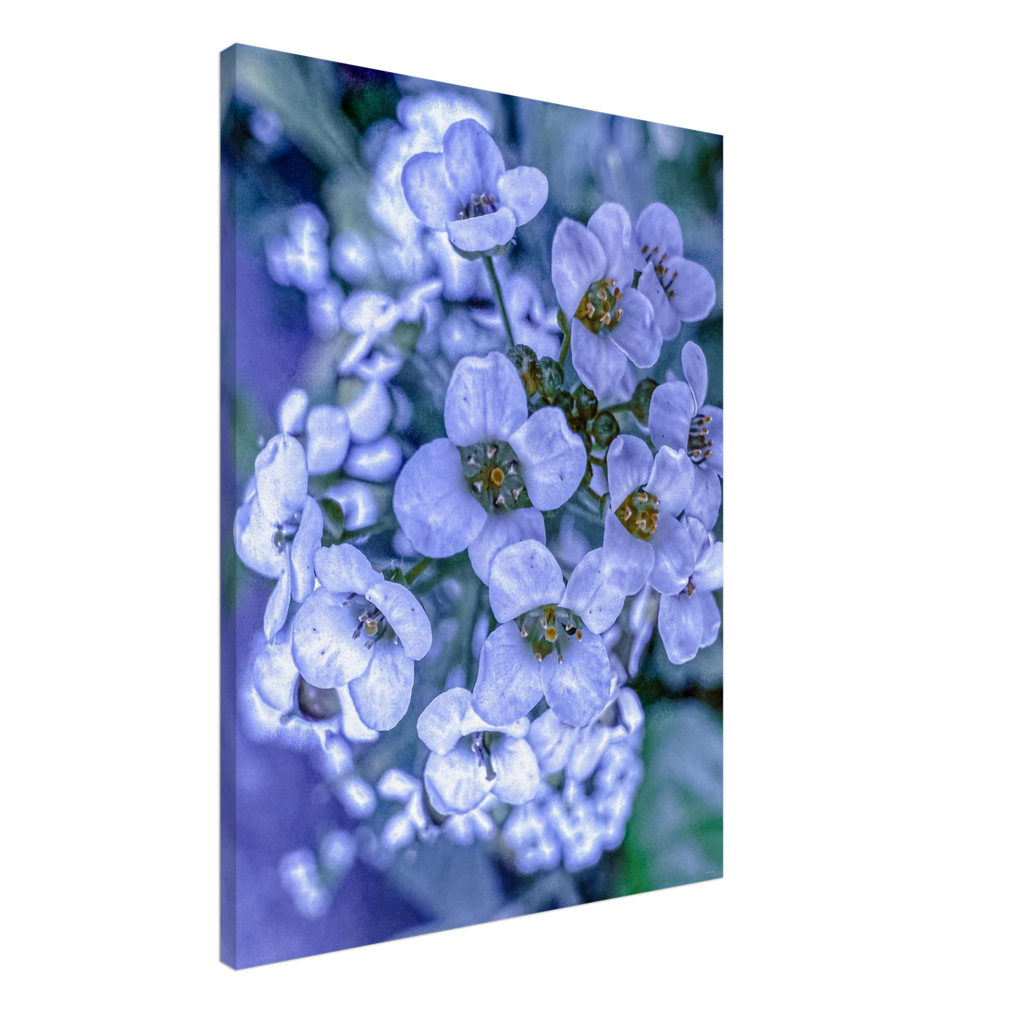 be60258f-fee4-436d-bfe8-f3fea3b6316a