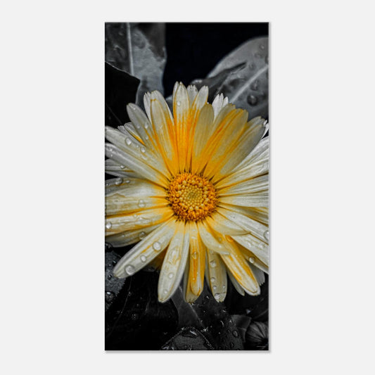 f848d9cb-4113-4e84-98ed-b99bc4190cb9