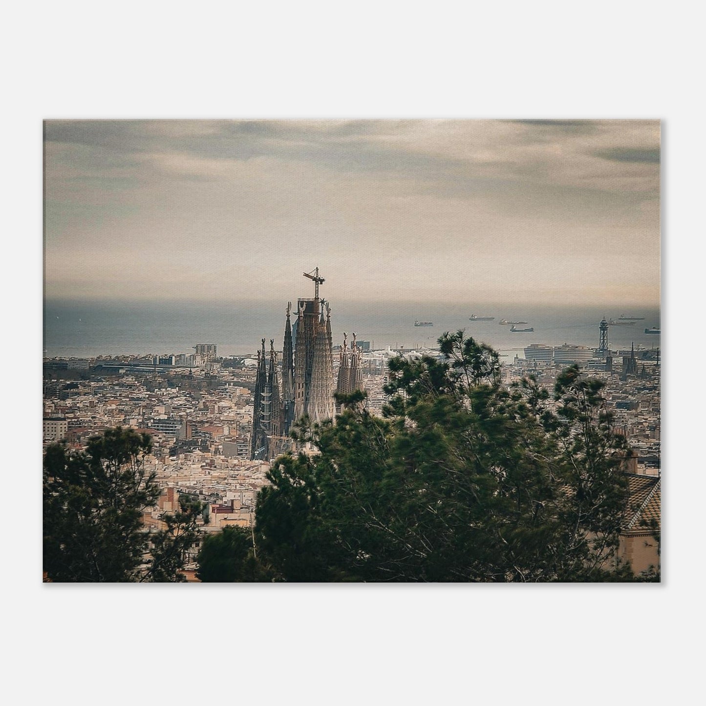 0028fe4e-f520-4b90-8f7d-44b061cf0289