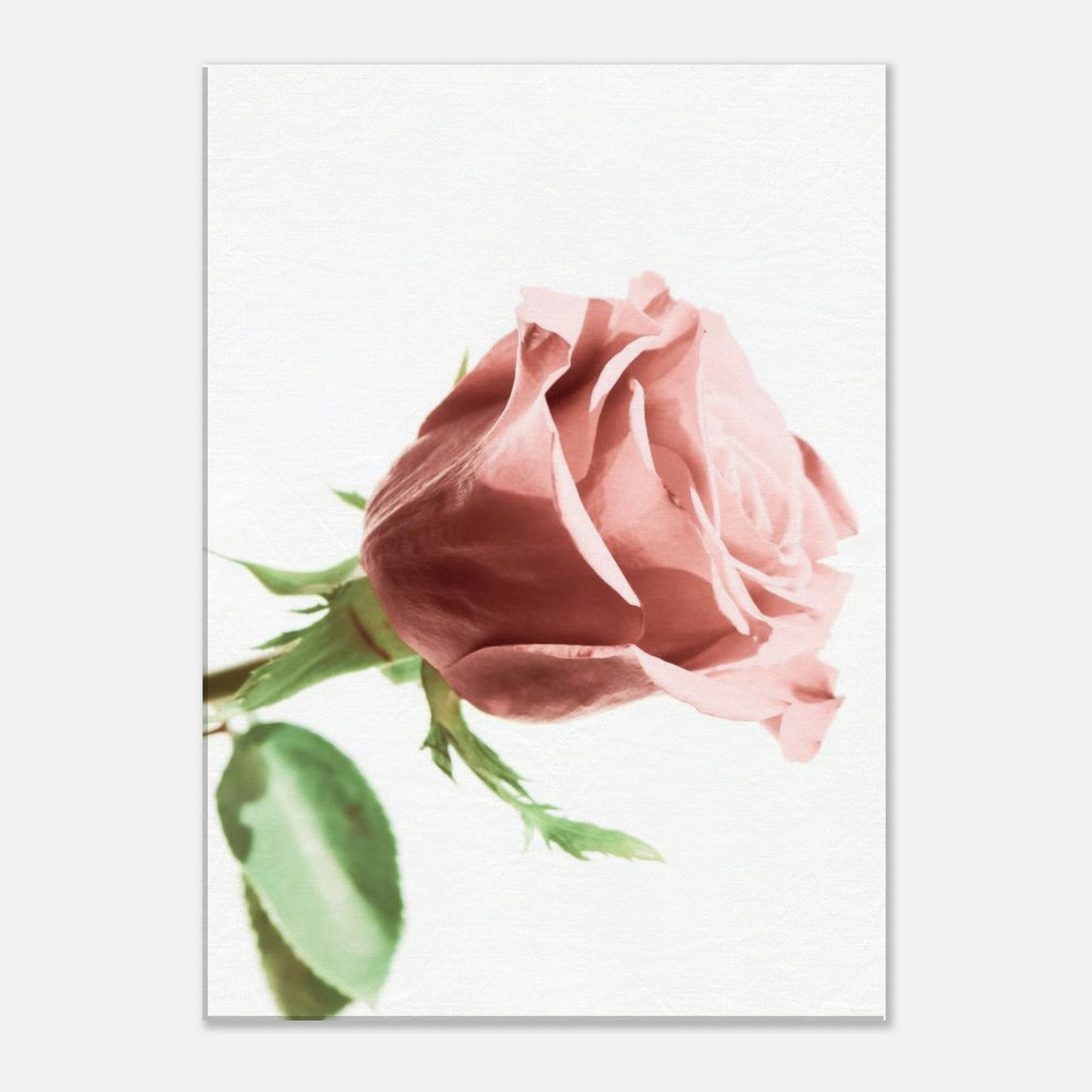 002eec09-97c3-4776-aee0-917a89c8ef91