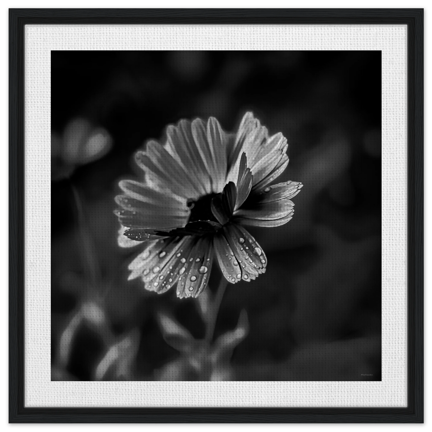 005fe9a2-d569-4eab-bb09-6a29cd3f9d60