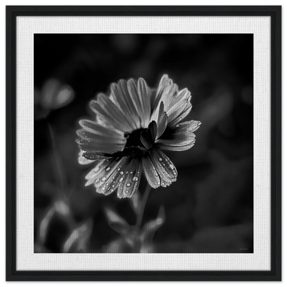 005fe9a2-d569-4eab-bb09-6a29cd3f9d60