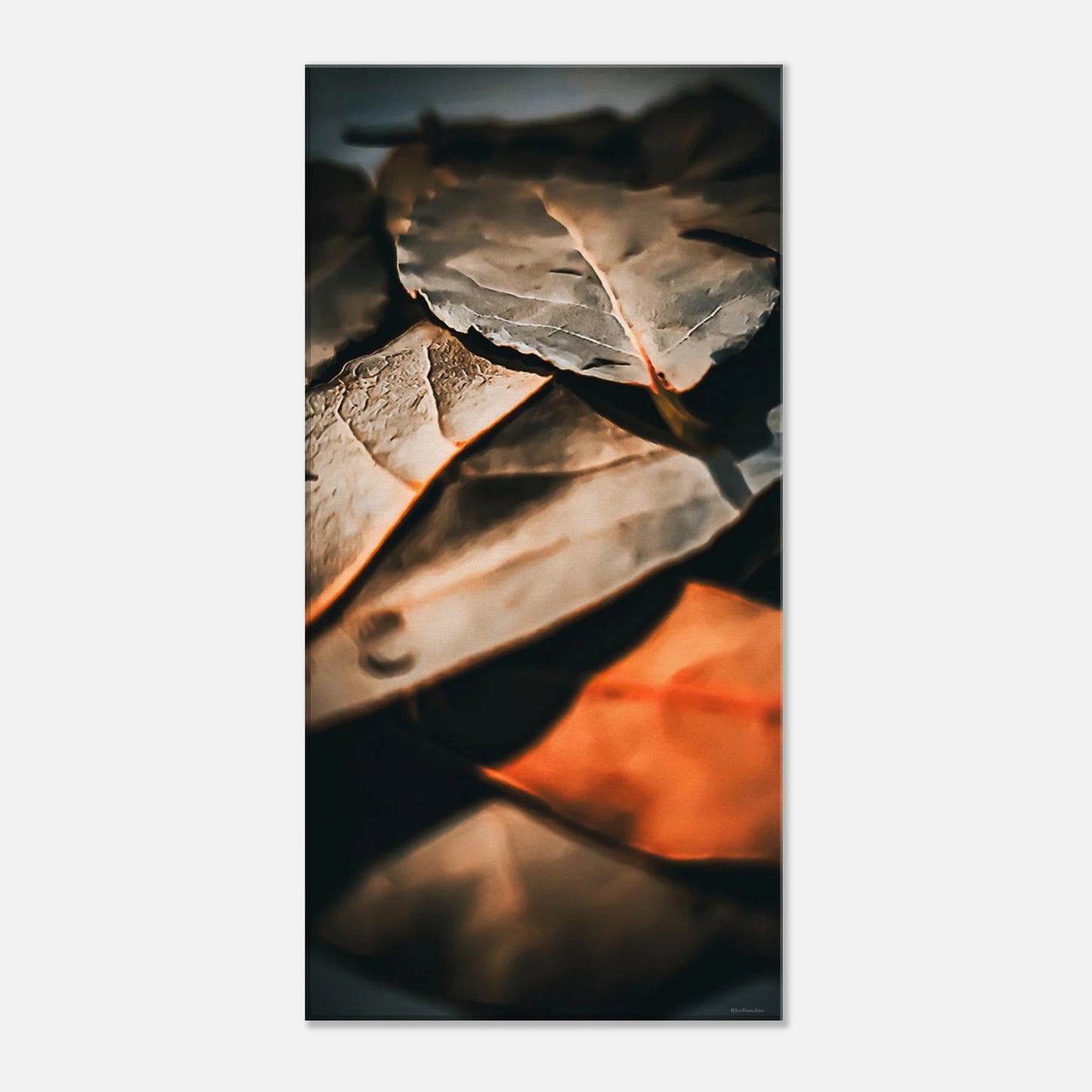 00c1ec35-6b94-47bd-845f-30e4f3bcb10d