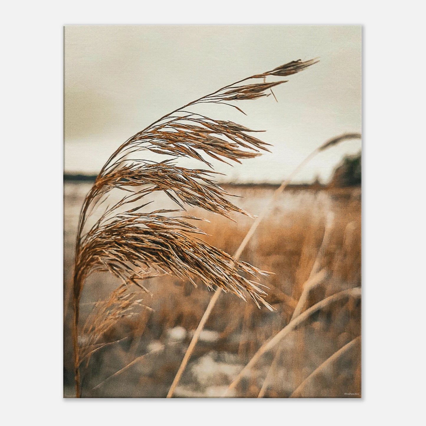 00d2ba7a-b8f6-49af-bd40-09843f50c42b