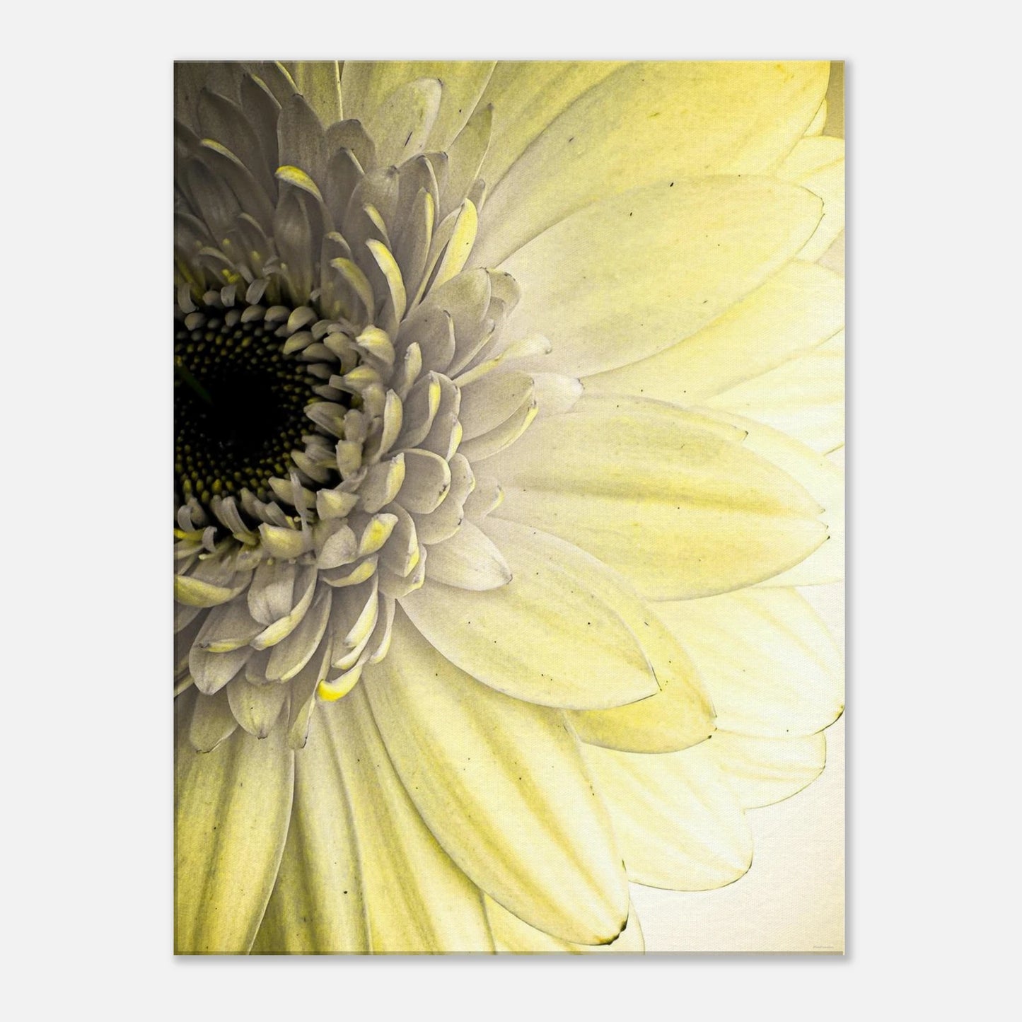 00d6348b-f38b-4504-a498-0507b0a89f96