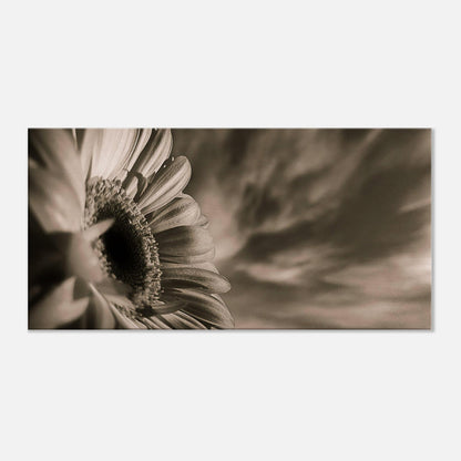 00fa19d1-9872-4bb3-bfd3-6286ffb1ef61