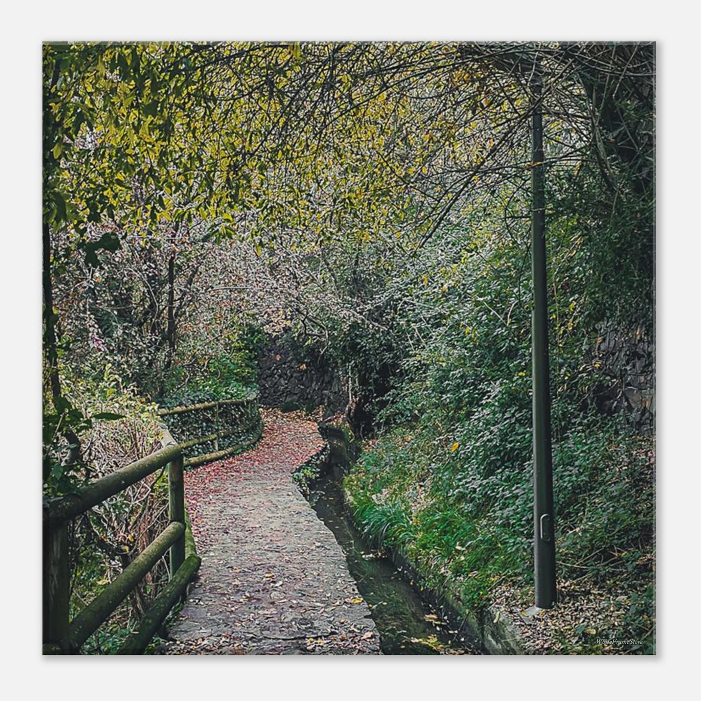 012922a5-f79b-4d26-a628-e24a9c1c4367