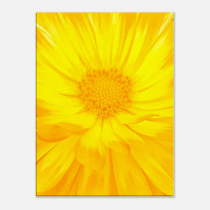 0165985c-9f2f-4c99-bc78-6c46c11c339b