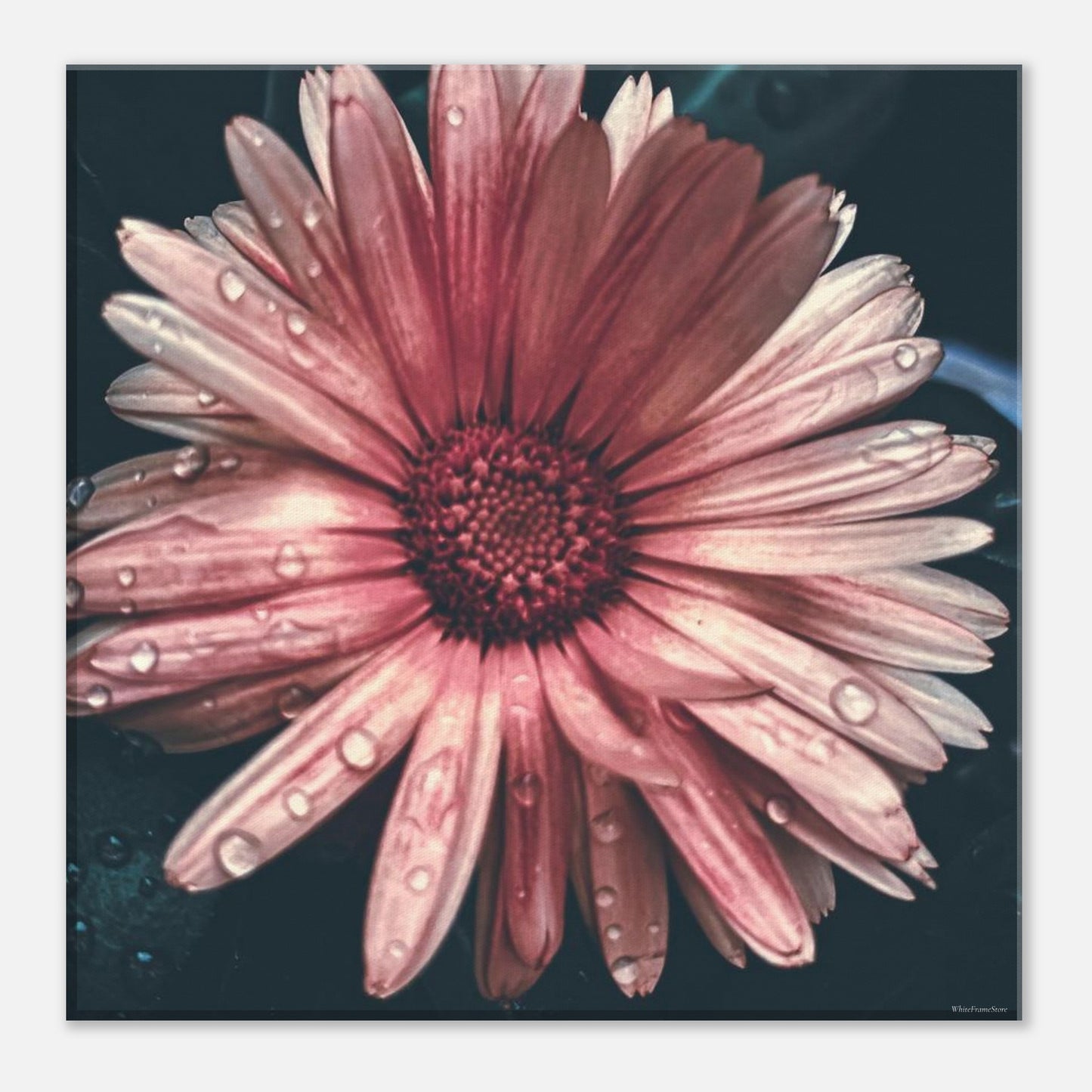 01e9cd4e-e2e2-4050-946f-552b7ca1e869