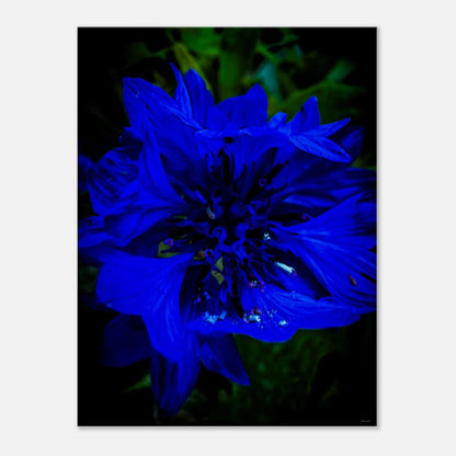 01fdc344-f21b-4e48-a819-7245b3958fd7