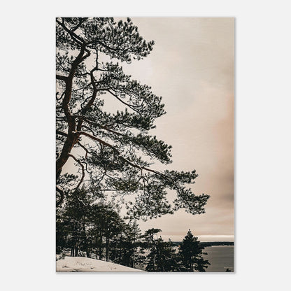 0222d6d3-c011-40f2-9a29-2295f093d2ec