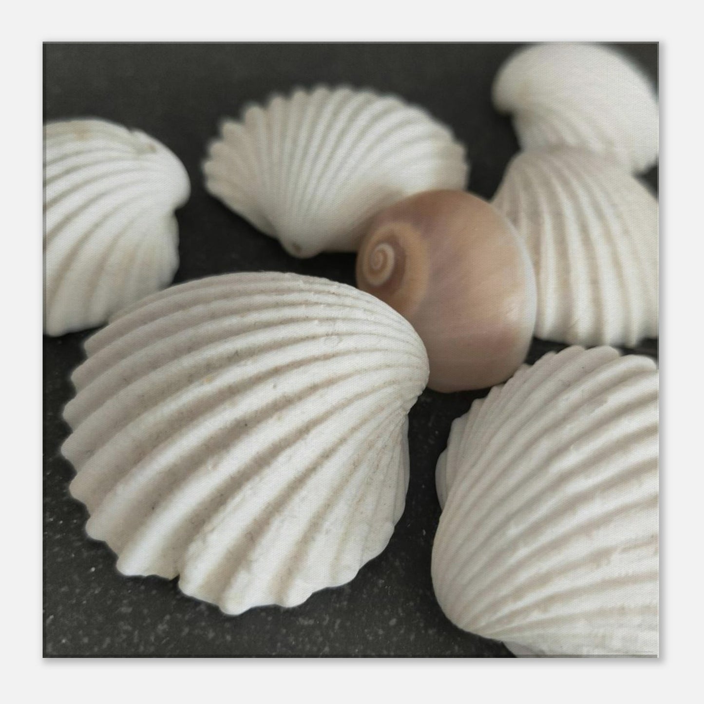 02540c3e-715c-4b8b-baa5-8f16265b85a1