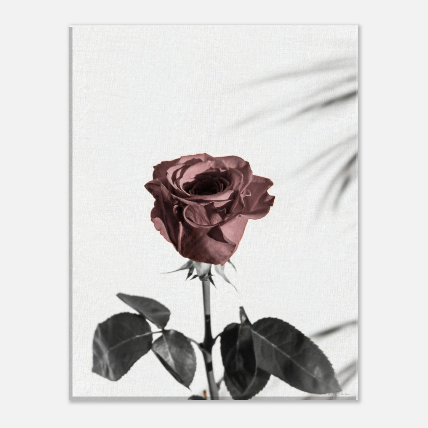 027d58c1-00ed-4f15-96fa-3b6f09a2582f