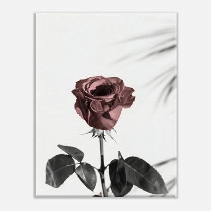 027d58c1-00ed-4f15-96fa-3b6f09a2582f