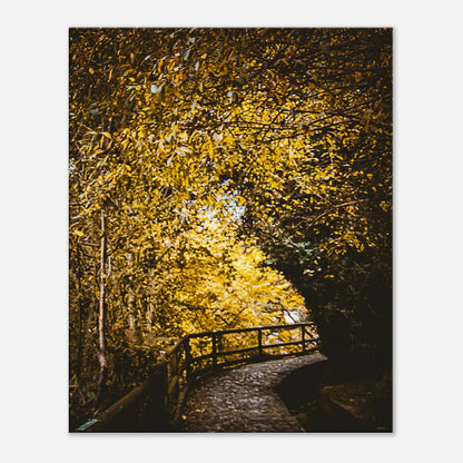 02b524b8-9134-4fa4-aa25-464b0cdbe647