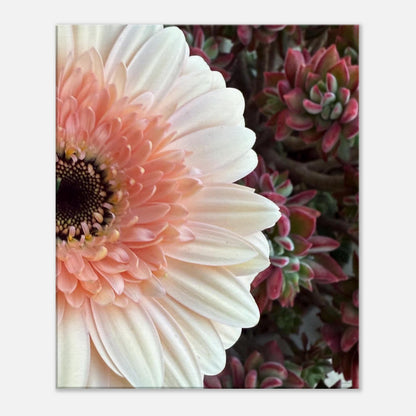 02cadbb0-f77d-4f11-9c44-8021e41319d2