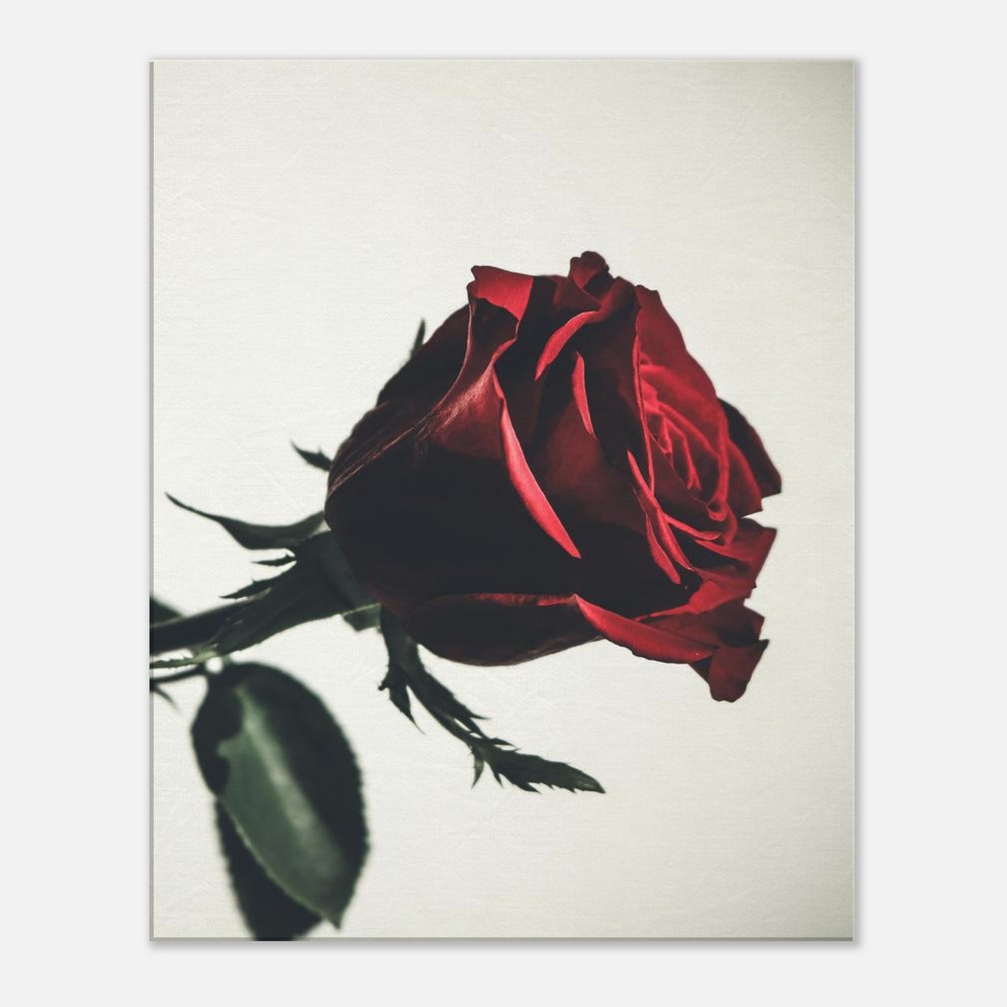 02e25918-693d-48b1-9640-54a6f3d4e5ac