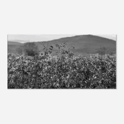 02e7b48d-6400-4496-8165-f429f70a1e6d