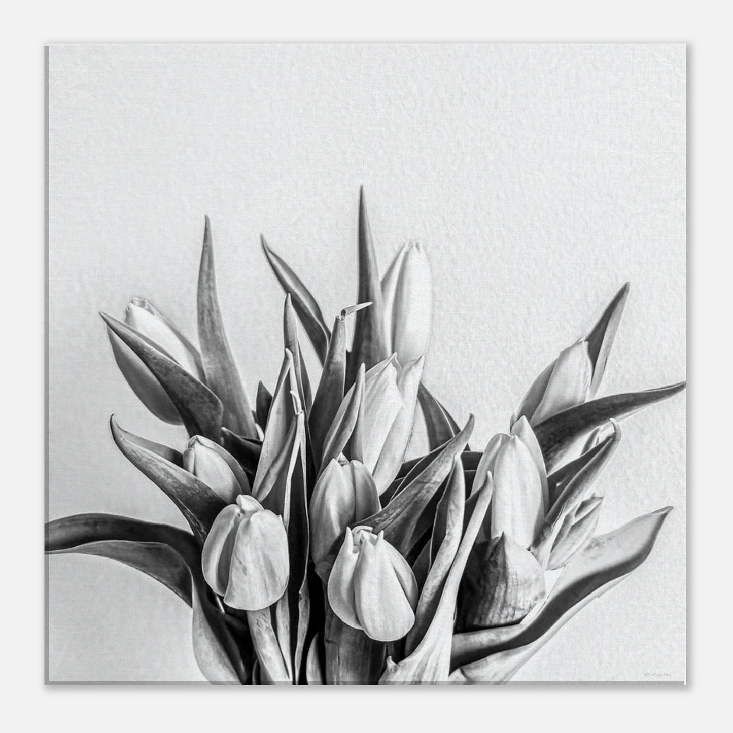 02f2fc47-2ebf-4ff4-a930-c30dcd25d181