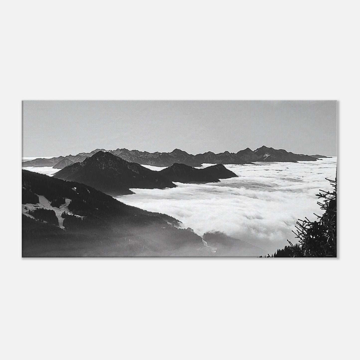 030453d2-3cb0-4f39-a678-558455497bea