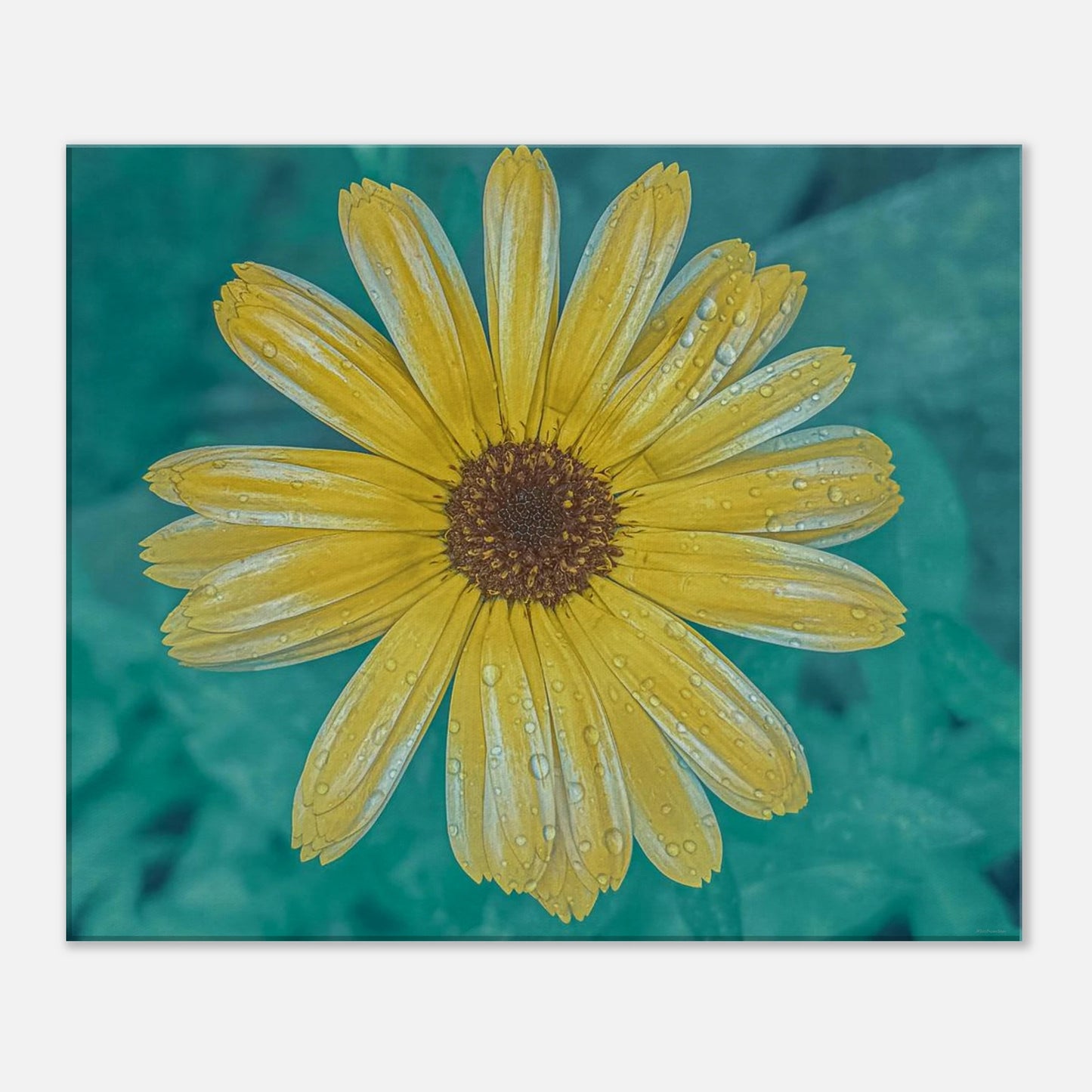 0309c23a-450e-4d23-b72d-ec87b93b11f4