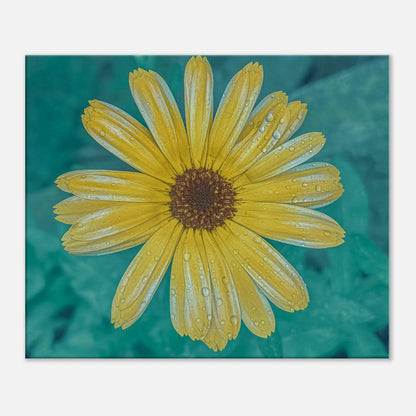 0309c23a-450e-4d23-b72d-ec87b93b11f4