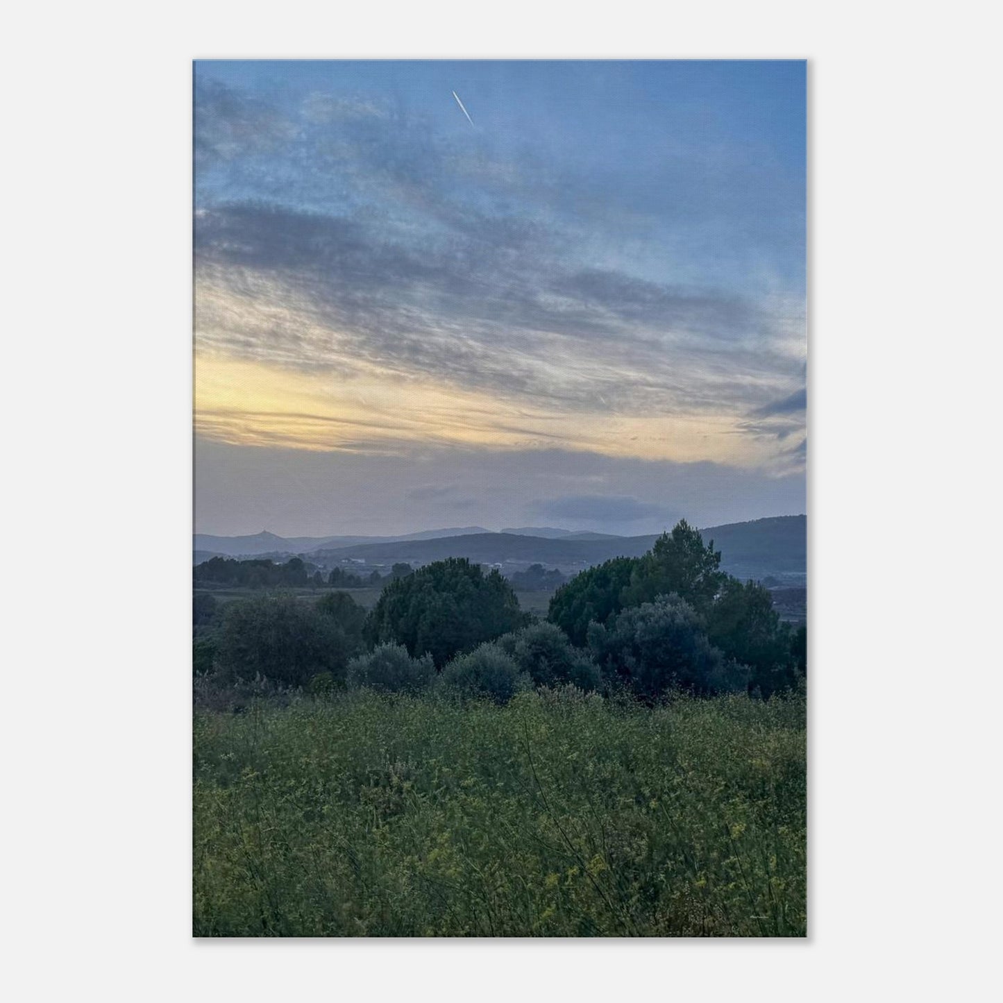 03292320-20aa-4c9a-a3b6-fc91eb350cee