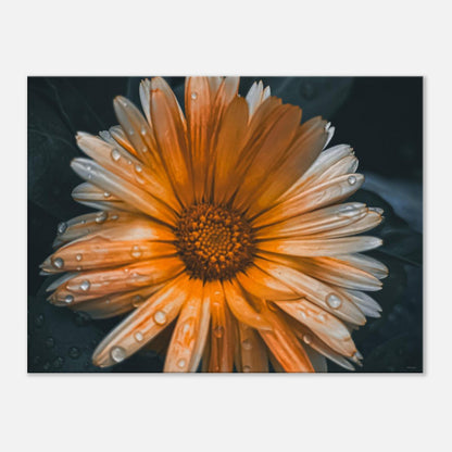 033bca9c-f92d-4783-81d2-1dbd09433064