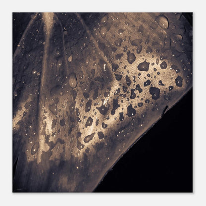 033ca292-9ea4-4f43-8f64-2f0b2ba066e3