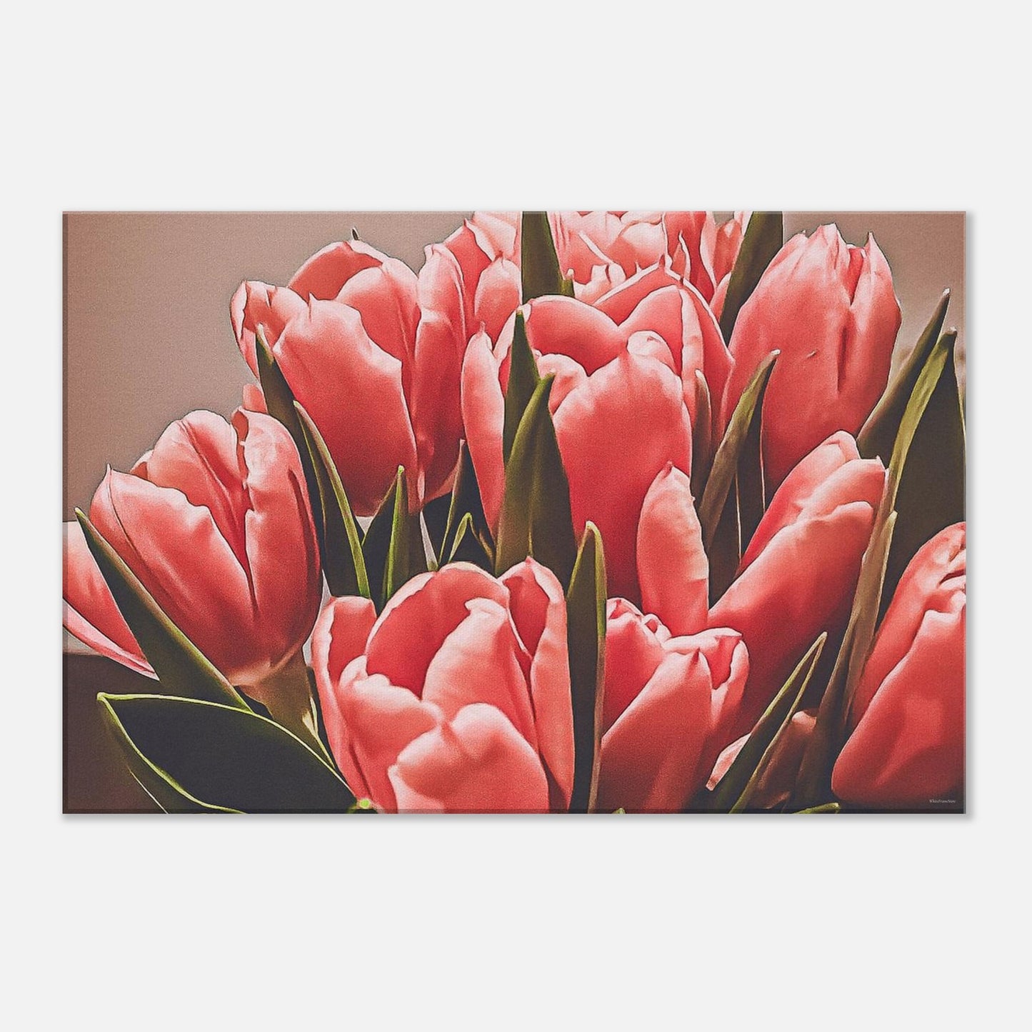 034e6e5c-e4c4-42a6-813d-df69b9012f8c